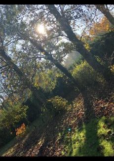 Hames-Boucres Apartment | L'aiguade 4