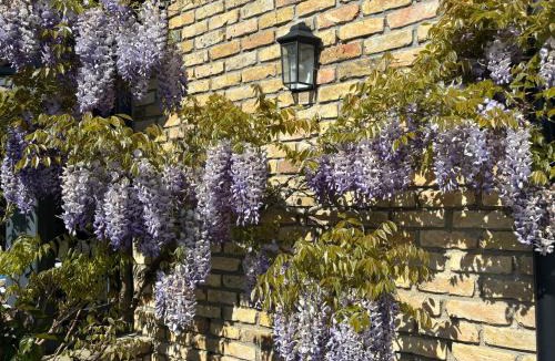 Hames-Boucres Apartment | L'aiguade 4