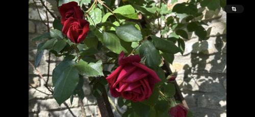 Hames-Boucres Apartment | L'aiguade 4