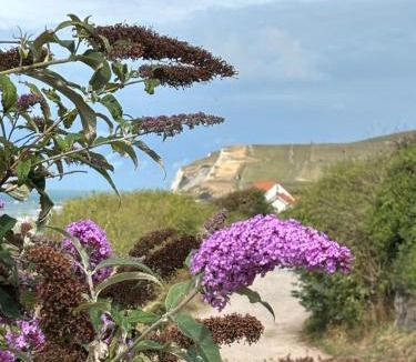Hames-Boucres Apartment | L'aiguade 4