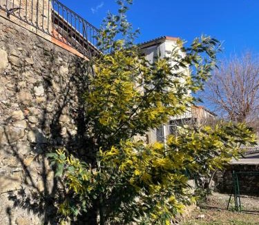Pommiers House | L’aire vieille