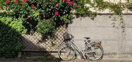 Bourron-Marlotte Bed & Breakfast | L'Alisier Chantant