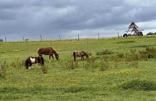 Aire-sur-l'Adour House | L'allee des charmes