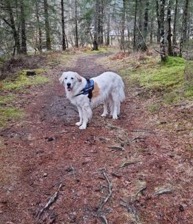 Bugeat Bed & Breakfast | L'AnciennePoste