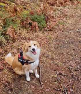 Bugeat Bed & Breakfast | L'AnciennePoste