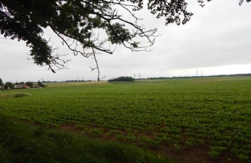 Le Torp-Mesnil Other | L'ancyze