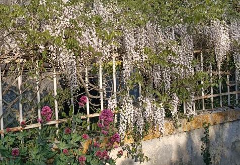 Bouille-Courdault House | L'Angelique