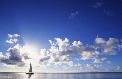 Le Lavandou Apartment | L'Anse de Pramousquier