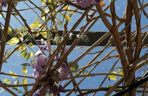 Savigny-les-Beaune Bed & Breakfast | L'antre ami