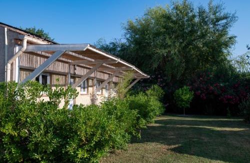 Pignans Apartment | L'APARTE - Studio Les AMANDIERS