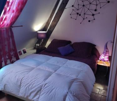 Conde-sur-Huisne House | L' Aphelide