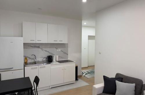Oyonnax Apartment | L'Appart Chaleur