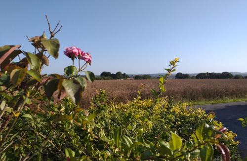 La Chapelle-de-Brain Apartment | L'appart