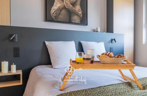 Republique Apartment | L'Appartement d Exception - Hyper Centre - 3 suites, Parking & Billard