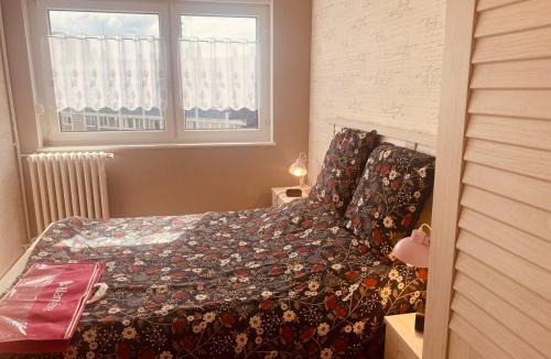 Brequerecque Apartment | L appartement de L Ony