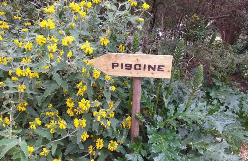 Roujan House | l appentis du chai