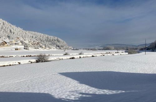 Grand'Combe-Chateleu House | L'arbre à chapeaux
