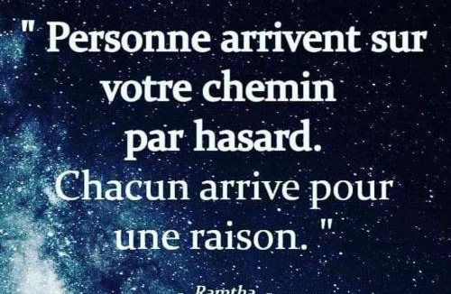 Limoges Apartment | L'Arbre à Graines