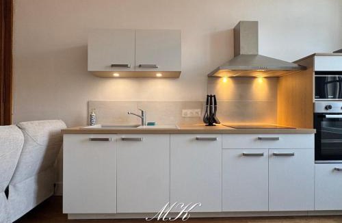 Bar-le-Duc Apartment | L'Aristocrate Cachet ancien confort moderne