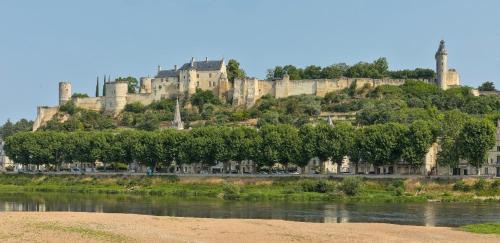 Chinon Apartment | L Arlequin Proche CNPE Rez de Chaussée
