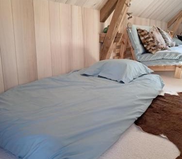 Aubigny-sur-Nere House | L'atypique du buisson de la gariole