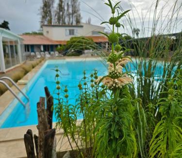 Saintes-Maries-de-la-Mer Hotel | L'auberge Camarguaise