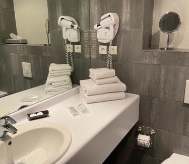 Chavanoz Hotel | L'AUBERGE DU RHONE