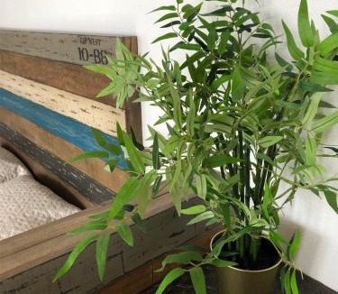 Honfleur Apartment | L'authentique