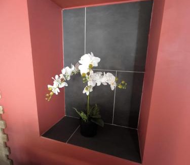 Vendee - Sevre - Autise House | L'authentique - maison chic avec piscine - rouge