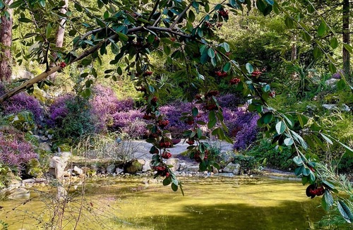 Poligny House | L' Autre Paradis, Enchanted Garden, Sauna, Natural Swimming Pools