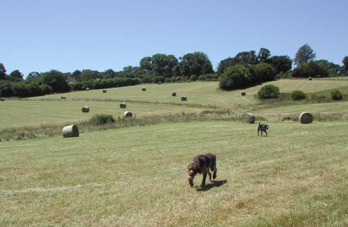 Coulouvray-Boisbenatre Bed & Breakfast | L'Auvraire B&B