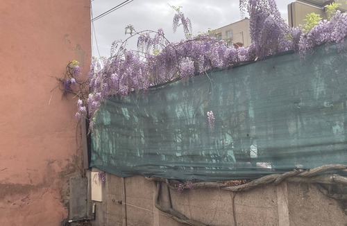 Roanne Apartment | L'Avenue 005, fully-equipped accommodation