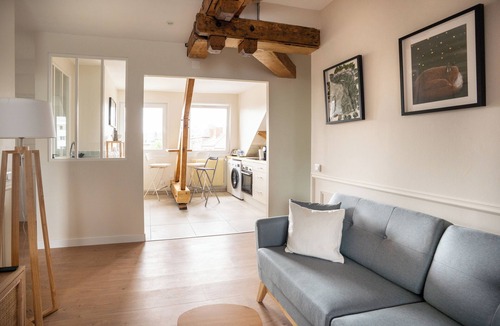 Centre Ville Apartment | L'Eclat des Halles - hypercentre