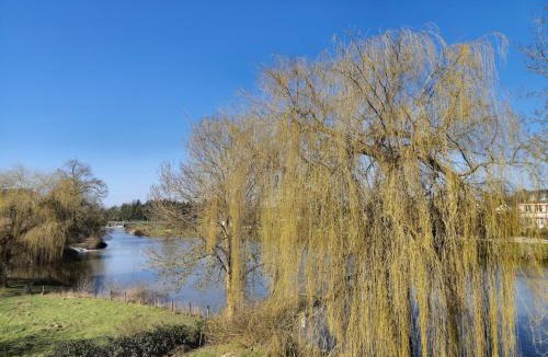 Pont Rean Apartment | L'Eclusier