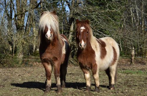 Kergonan Bed & Breakfast | L'Ecrin de Pradou Glaz