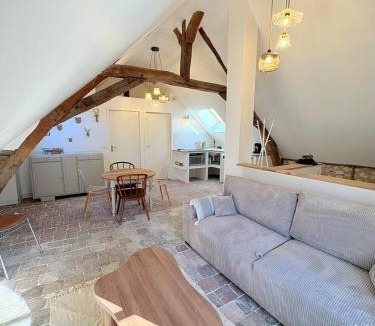 Amboise Apartment | L'Ecrin Saint Denis, petite au centre d'Amboise!