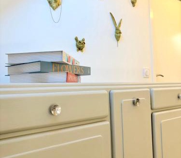 Amboise Apartment | L'Ecrin Saint Denis, petite au centre d'Amboise!
