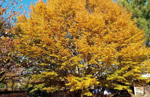 Challans Bed & Breakfast | L'eden naturiste spas