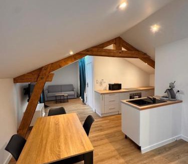 Pelussin Apartment | L'Emeraude By Clem