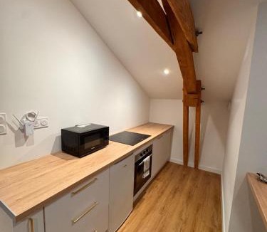 Pelussin Apartment | L'Emeraude By Clem