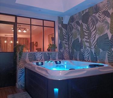 Esquelbecq Apartment | L'Entracte et son spa privatif