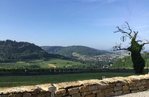 Menetru-le-Vignoble Bed & Breakfast | L'Entre-Coeur