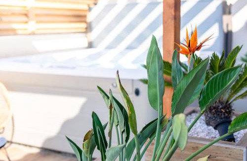 Le Somail Apartment | L'entre deux-suite romantique - jacuzzi privatif - clim réversible - wifi
