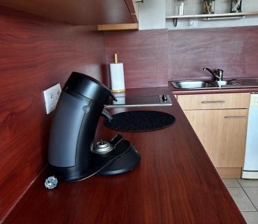 Trebas Apartment | L'Erable T2 climatisé