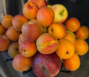 Ales Hotel | L'Escale d'Alès HOTEL