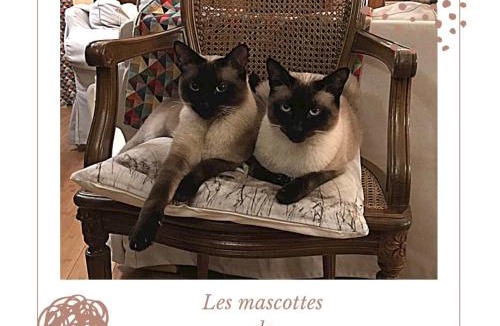 Maisons Bed & Breakfast | L ESCALE EN BEAUCE