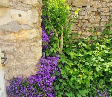 Esnandes House | L Escale Esnandaise