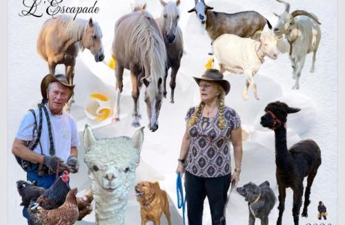 Pont-de-Salars Bed & Breakfast | L'Escapade de JOS , chambres et table d'hôte