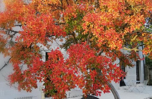 Brantome-en-Perigord Bed & Breakfast | L'escapade