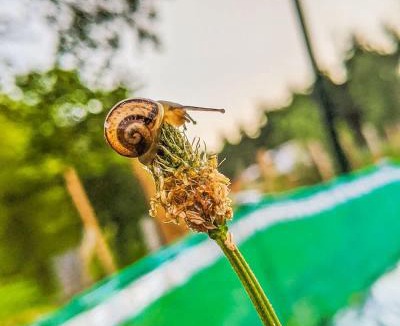 Uzemain House | L’Escargoterie de la Forge - Immersion Champêtre